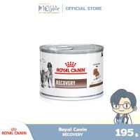 ราคา Royal Canin Recovery อาหารสำหรับสุนัขและแมวป่วยระยะพักฟื้น (1 กระป๋อง) 195 G (27518937538)