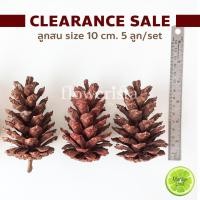 ราคา SALE !!! ลูกสนแห้ง ลูกสน size ใหญ่ (Set ละ 5 ลูก) คัดพิเศษสวยๆ size 10-10+ cm. สำหรับเป็นพร๊อพแต่งบ้านเก๋ๆ พร๊อพถ่ายรูป (25500504912)