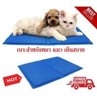 ราคา Pet cool mat แผ่นเจลรองนอนหมา แผ่นเจลเย็นสุนัข (Size s 30*40 cm) ผืนเล็ก (15397310604)