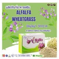ราคา ALFALFA WHEATGRASS (อัลฟัลฟ่า) (53751619914)