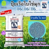 ราคา ปุ๋ยเรือใบไข่มุก สูตรเสมอ 16-16-16 เม็ดสีฟ้า เหมาะกับพืชผัก พืชผล ไม้ประดับ ใช้ได้กับพืชทุกชนิด (27435886401)
