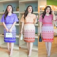 ราคา ชุดผ้าไทยสาวอวบ อก46,50,54 เดรสผ้าไทย ชุดเดรสผ้าไทย สาวอวบ ใส่สวย (21665950490)