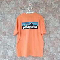 ราคา เสื้อยืด Patagonia (23414894475)