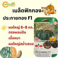 ราคา เมล็ดฟักทอง ประกายทอง F1 (ซองแข็ง) ตราศรแดง (22680603180)