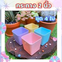 ราคา กระถาง 2 นิ้ว (ชุด 4 ใบ) สีพาสเทล กระถางแคคตัส น่ารัก มินิมอล (18395109064)