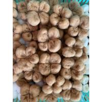 ราคา ดอกฝ้าย ดอกcotton ดอกฝ้ายDIY ชุด 100 ดอก ไม่มีก้าน (22172830614)