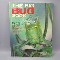 ราคา #K #มือสอง : The Big Bug Book by Barbara Taylor, Dr. Jen Green & John Farndon(หนังสือความรู้) (25297833570)