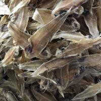 ราคา ปลาลิ้นหมา ปลาลิ้นหมาแห้ง (500 กรัม) ปลาลิ้นหมาทะเล ปลาลิ้นหมา ราคา ปลาลิ้นหมา ปลาตาเดียว อาหารทะเลแห้ง (27902532218)