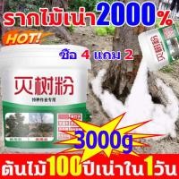 ราคา YS ซื้อ 4 แถม 2 ยาฆ่า ฆ่าหญ้า ยาฆ่าไผ่ ยาฆ่าหญ้า ยาฆ่าตอไม้ ยาฆ่าต้นไม้ใหญ่ น้ำยาฆ่าหญ้า น้ำยาฆ่าต้นไม้ใหญ่ (28511602077)