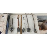 ราคา กิ่งตอนมะเดื่อฝรั่ง แบล็ค อิสราเอล (29890167212)