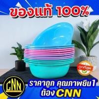 ราคา กะละมัง กะละมังCNN กะละมังรูปไข่ กะละมังขายดี กะละมังราคาถูก กะละมังพลาสติก สีพาสเทล สีโมเดิร์น (23550230953)