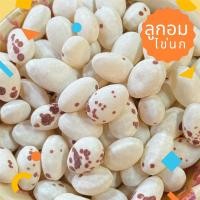 ราคา ลูกอมไข่ไดโนเสาร์ ลูกอมไข่นก ขนมยุค90 ขนมโบราณ เปรี้ยว หวาน อร่อย (44458128580)