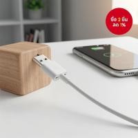 ราคา สายชาร์จ Nano Touch 30 Pin สําหรับ iPhone 4 4s 3G 3GS iPad 1 2 3 iPod สายชาร์จข้อมูล (55504201990)