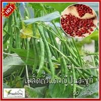 ราคา 50 เมล็ด ถั่วแดงญี่ปุ่น อะซูกิ (Azuki Bean) เมล็ดถั่วแดงญี่ปุ่น (27193414986)