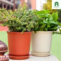 ราคา กระถางพลาสติกทรงโมเดิร์น พร้อมจานรอง มีหลายสีให้เลือก บ้านและสวน TCยาว (24824923657)