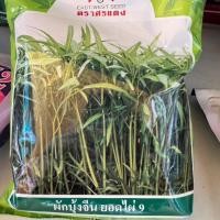 ราคา ผักบุ้งจีน ยอดไผ่9 ขนาด1kg ตราศรแดง (53851879494)