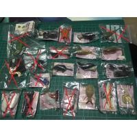 ราคา โมเดลสัตว์เหมือนจริง ของญี่ปุ่นแท้ (ทักแชทเพื่อเลือกลาย) พร้อมส่ง (3129118055)