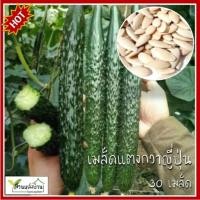 ราคา 30 เมล็ด แตงกวาญี่ปุ่น เมล็ดแตงกวาญี่ปุ่น เมล็ดแตงกวา แตงกวา (24390880324)
