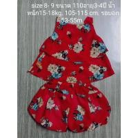 ราคา ชุดเสื้อกางเกง ลายดอก (6348541355)