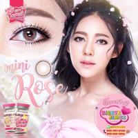ราคา KittyKawaii Mini Rose Eff.14.5 Brown มินิ (25576468525)