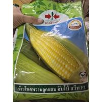 ราคา เมล็ดข้าวโพด ข้าวโพดหวาน จัมโบ้ สวีท F1 ขนาด 1 กิโลกรัม ตรา ศรแดง เมล็ดข้าวโพด หวาน ฝักใหญ่ (27850947968)