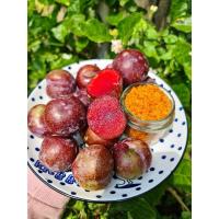 ราคา ลูกไหนแดง(2กิโล) ลูกไหนสดจากดอยอ่างขาง (18801391435)