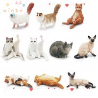 ราคา WINTE จําลองแมว,เหมือนจริงสยาม Ragdoll แมวเปอร์เซียที่สมจริงตุ๊กตาสัตว์เลี้ยง,น่ารัก PVC รูปปั้นแมวเครื่องประดับตกแต่งรถ (28233727387)