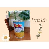 ราคา ส้มแมนดาริน ตราโดล Dole Mandarin Orange 425 กรัม (15700894330)