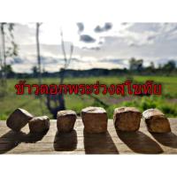 ราคา แร่ข้าวตอกพระร่วงสุโขทัยชุด19องค์⚠️คละขนาดของแท้สุโขทัยเท่านั้น❗⬇️⬇️ (9583322948)