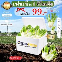 ราคา Oishi-Freshเฟนเน็ล ปลอดสารพิษ 1 กก. รสชาติกรอบ สด ใหม่ ใยอาหารสูง หวานออร์แกนิค เคลมได้ 1-2 วัน (29478119950)