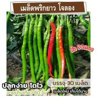 ราคา เมล็ดพันธุ์ พริกโจลอง พริกยาว แบ่งขาย 30 เมล็ด (ซื้อ 5 แถม 1)✨ คละชนิดได้ (22087869106)