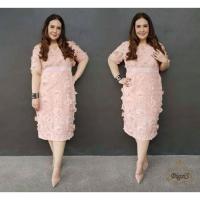ราคา เดรสสาวพลัสไซด์ลูกไม้สีชมพูโอรสเนื้อผ้าลูกไม้อย่างดีทอลายดอกไม้แต่งประดับดอกเป็น3Dแน่นๆงานป้ายBigsisมือสอง (45555070355)