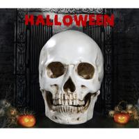 ราคา JAPAN โมเดล หัวกะโหลกผี วัสดุ เรซิ่น Resin กะโหลกผี Skull ตกแต่งบ้าน ปาร์ตี้ฮาโลวีน Halloween โครงกระดูก หัวกะโหลกจำลอง (4383612239)
