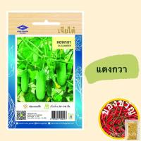 ราคา เมล็ดอวบอ้วน100%เมล็ดพันธุ์ผัก(ซอง) แตงกวา แตงร้าน แตงไทย แตงไทยลูกกลม ตราเครื่องบิน เจียไต๋เมล็ดพันธุ์ColorLycopersicon (18636039382)