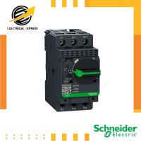 ราคา GV2P05 / GV2P08 / GV2P14 / GV2P20 / GV2P21 / GV2P32 / Moter Circuit Breakers / มอเตอร์เบรกเกอร์ / 3P / Schneider (25814453715)