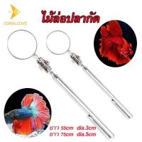 ราคา coralcoveshop ไม้ล่อปลากัด กระจกล่อปลา ยาว 55-75 ซม. dia.3-5ซม. สำหรับล่อปลากัด ให้ปลากัดพองสู้ (28050939698)