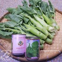 ราคา ขายส่ง46฿ คะน้าหวาน คะน้าฮ่องกง คะน้าเห็ดหอม 80กรัม เมล็ดคะน้าฮ่องกง คะน้าต้นใหญ่ เมล็ดพันธุ์ผักสวนครัว ตราลูกโลกจ (11738079340)