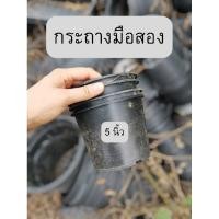 ราคา กระถาง 5 นิ้ว มือสอง กระถางต้นไม้ มือ2 (19482780309)