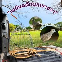 ราคา เพนียดต่อนกเขา เหนียดดักนกเขา เพนียดดักนกเขาใหญ่ กรงดักจับนก พะเนียดต่อนกเขา (22766227729)