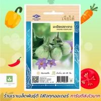 ราคา มะเขือเปราะจาว เจียไต๋ เมล็ดพันธุ์มะเขือ มะเขือเปราะ (898657637)