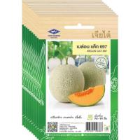 ราคา เมล็ดเมล่อน แค็ท697 เจียไต๋ ขายส่ง ยกห่อ (1 ห่อ บรรจุ 10 ซอง) (43708253693)