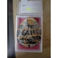 ราคา พระปิดตาหลวงปู่โต๊ะ วัดประดู่ฉิมพลี (19353390197)