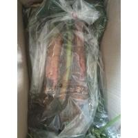 ราคา พันธุ์กล้วยไข่เกษตร,หน่อกล้วยไข่ ชุด 3หน่อ 99บาท (9693665697)