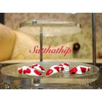 ราคา โปรดศึกษาขนาดก่อนสั่งซื้อ | ห้ามแช่น้ำ | โมเดลปลาคาร์ฟ ปลาคาร์ฟดินปั้น ปลาคาร์ฟปลอม ปลาคาร์ฟปั้น (9413313588)