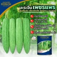 ราคา เมล็ด เมล็ด เมล็ดเพาะจีน เพชรแพร ขนาด100กรัม ตราเจียไต๋ อินทรีย์เพาะจีน เมล็ดเพาะจีนเพชรแพร (23265739640)