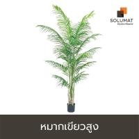 ราคา ต้นไม้ปลอม ต้นหมากเขียวสูง TR-0015 สูง 200 cm (7389822773)