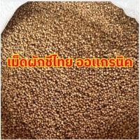 ราคา ซื้อ1เเถม1 เมล็ดผักชี เมล็ดผักชีเเห้ง เม็ดผักชี เมล็ดผักชี เมล็ดผักชีไทย เม็ดชี Coriander seeds ผักชี ผักชีไทย ผักชี (43100176352)