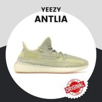 ราคา Adidas Yeezy Boost 350 V2 Antlia (13891348998)