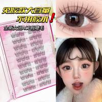 ราคา Zhixian กาวฟรี Idol Ace ขนตาปลอมสาว Group Cat Paw Cat Elf ดอกไม้ใหญ่ Curl เอียงเริ่มต้นไม่มีแต่งหน้า Ace Eyelashes (42174274227)