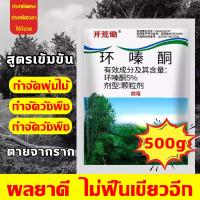 ราคา 2025ทรงพลังขึ้น 2500g ยาฆ่าตอต้นไม้ สารกำจัดก่อไผ่ ผงกำจัดกอไผ่ ยาฆ่ากอไผ่ ยาฆ่าต้นไผ่ ยาฆ่าหญ้า ยาฆ่าหญ้าชนิดผง (26824661840)